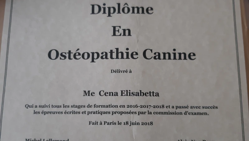 diploma Iforec Elisabetta Cena Doggy Splash Torino